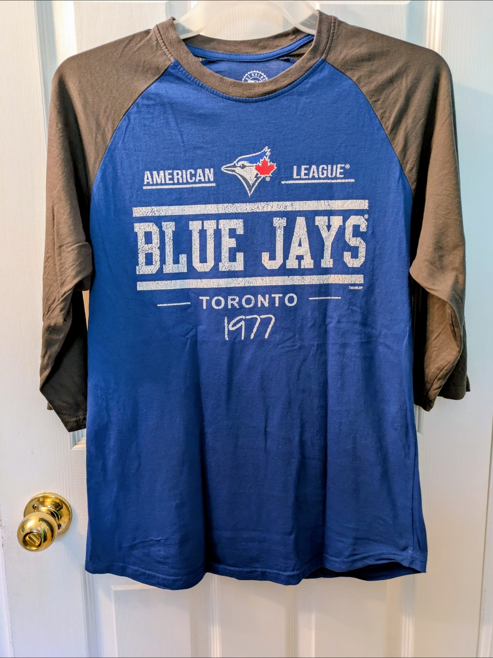Toronto Blue Jays Raglan Tee - Blue & Gray